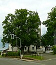 Two linden trees