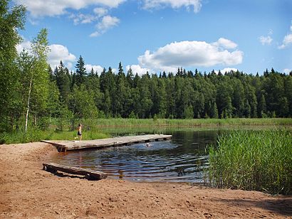 Kuinka päästä määränpäähän Odilampi käyttäen julkista liikennettä - Lisätietoa paikasta