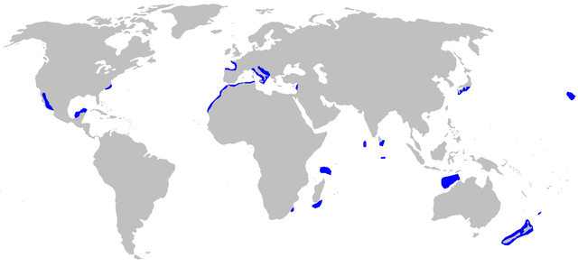 Mapa występowania