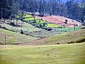 Ooty and Conoor Area