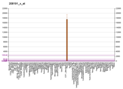 PBB GE PSG1 208191 x در fs.png