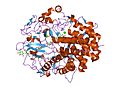 Thumbnail for Glycoside hydrolase family 48
