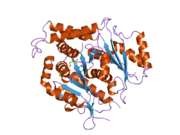 PDB 1z5v EBI.png