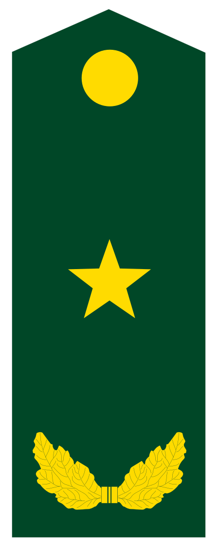 ไฟล์:PLA_Major_General.svg