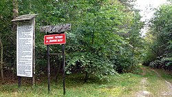 PL Żółwiowe Błota nature reserve.jpg