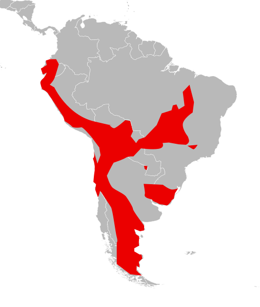 File:PampasCatDistributionMap.svg