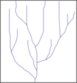 Parallel drainage pattern.