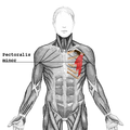 Munud eus stumm an 25 Gou 2005 da 13:38