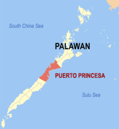 Ph locator palawan puerto princesa.png