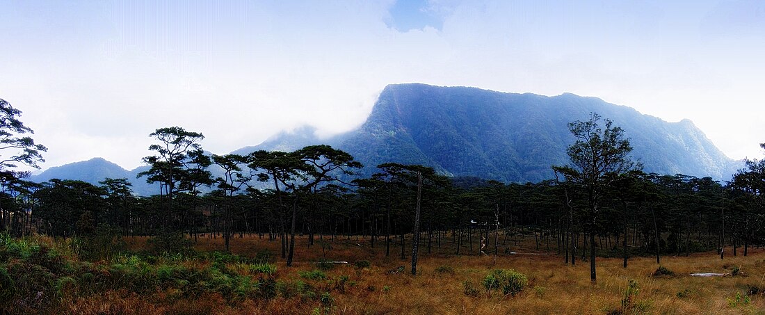 Phu Soi Dao