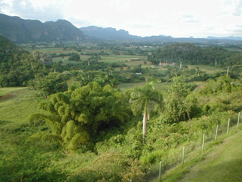 File:PinarDelRioCuba2.jpg