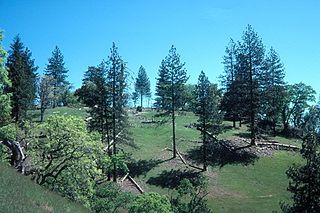 <span class="mw-page-title-main">Henry W. Coe State Park</span> State park in California, U.S.