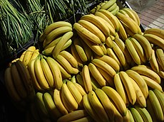 Plátanos de Canarias.JPG