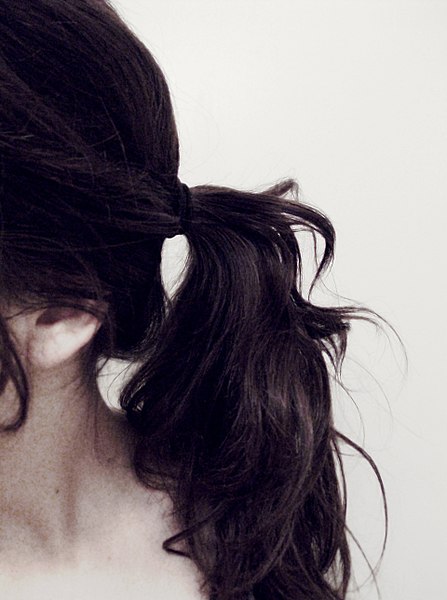 File:Ponytail black hair.jpg