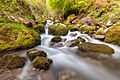 Kroparica stream near Kropa settlement