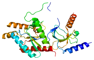 <span class="mw-page-title-main">CACNB2</span>