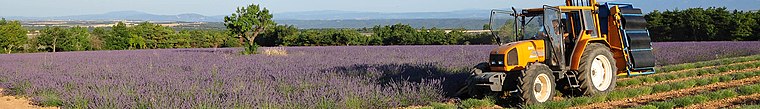 Provence-Alpes-Côte d’Azur