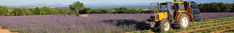 File:Provence banner.jpg