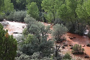 The Puerco River in McKinley County, New Mexico. Puerco River in flood August, 2010.jpg