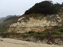 San Gregorio shtatidagi Beach.jpg-dagi Purisima Formation qumtoshi