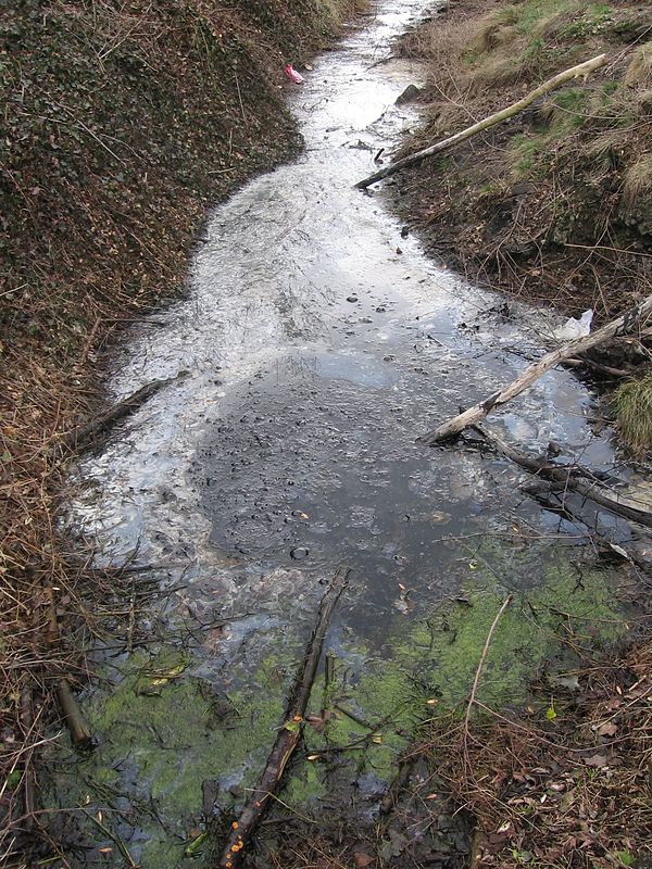 Bituminous outcrop of the Puy de la Poix, Clermont-Ferrand, France