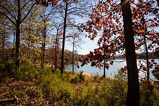 Richard B. Russell State Park