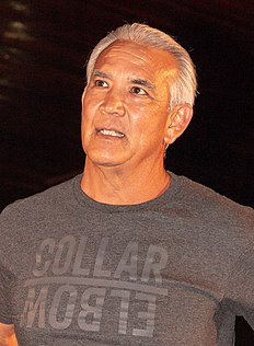 <span class="mw-page-title-main">Ricky Steamboat</span> American professional wrestler