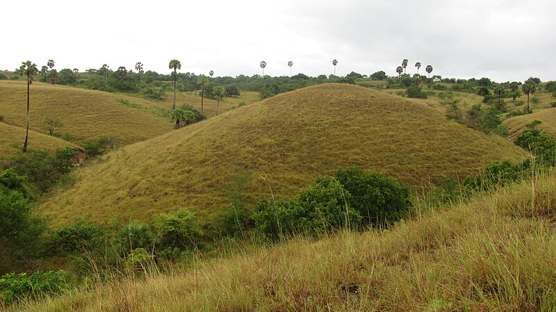 File:RincaTypLandschaft.JPG