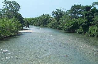 Buritaca kuksa