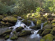 Rock Creek Rock-creek-gsmnp1.jpg