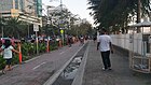 Class I bicycle lane with plant median and curb separation along Roxas Boulevard in Manila