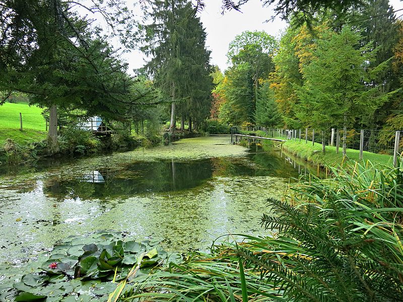 File:Sägenweiher.JPG