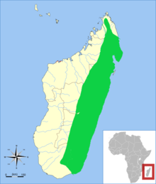Madagaskari pirgu levila