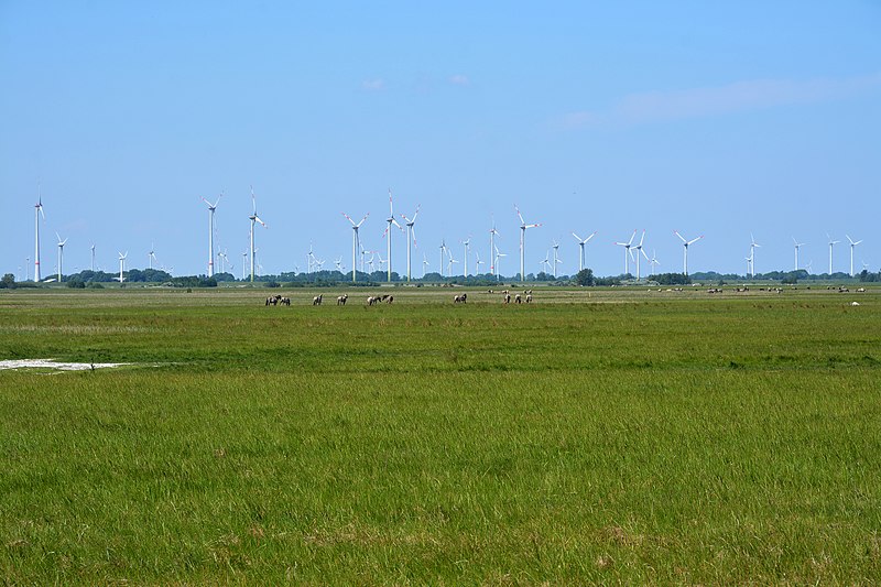 File:Schleswig-Holstein, Dithmarschen, Naturschutzgebiet Wöhrdener Loch NIK 3220.jpg