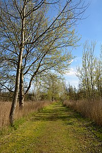 Schleswig-Holstein, Lunden, Landschaftsschutzgebiet und Naturerlebnisraum NIK 5838.jpg