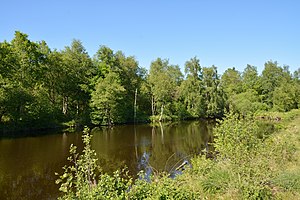 Schleswig-Holstein, Tellingstedt, Landschaftsschutzgebiet Großes Moor Kätner Moor NIK 7106.jpg