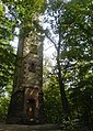 Lookout tower "Auf der alten Gritz"