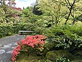 Seattle Japanese Garden