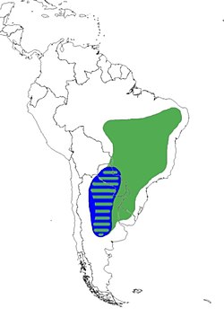 Käärmekurkien levinneisyys Etelä-Amerikassa. Töyhtökäärmekurjen levinneisyys vihreällä, pensaskäärmekurjen levinneisyys sinisellä.