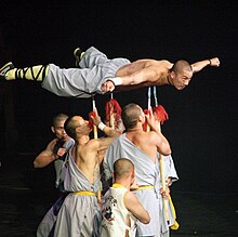 shaolin monks fighting