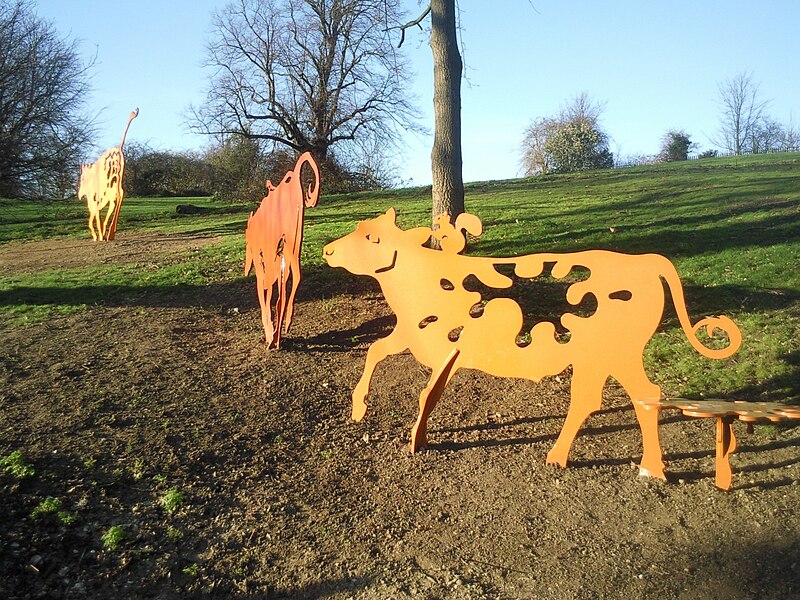 File:Shenstone Park cows - geograph.org.uk - 2319116.jpg