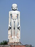 Shri 1008 Munisuvratnath Bhagwan Statue.JPG