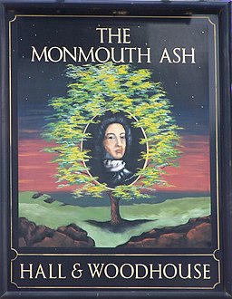 Sign for the Monmouth Ash, Verwood - geograph.org.uk - 1099972