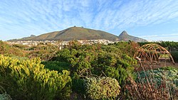 Signal Hill from Green Point Park.jpg