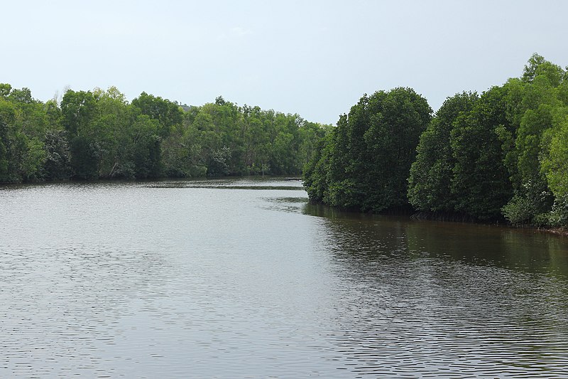 File:Sihanoukville Province, Stueng Hav - river 04.jpg