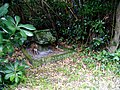 A small stone shrine on the Japanese island of Nijima.