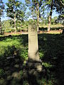 English: Old cemetery in Smolnik village Polski: Cmentarz przycerkiewny we wsi Smolnik