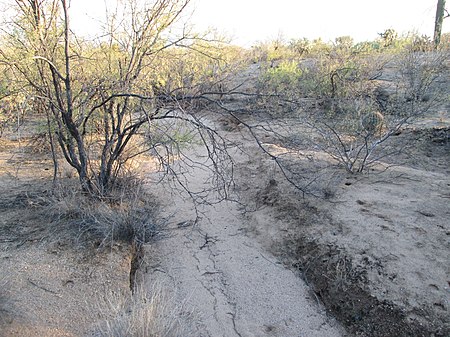 Fail:Sonoran_Desert_Arroyo_Sahuarita_Arizona_2013.jpg