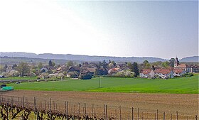 Soral (canton de Genève)