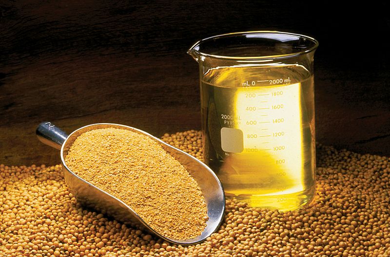 Avantages et utilisations de l'huile de soja pour la peau - Tchaou Group  Services & Products